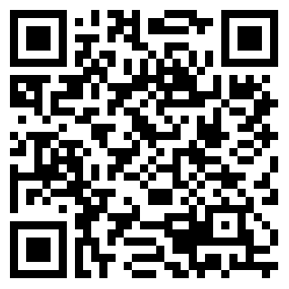 icon QR code
